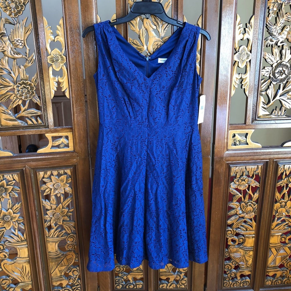 NWT Robbie Bee V-Neck Sleeveless Lace Dress